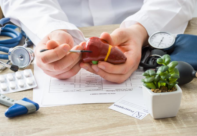 Doctor holding a sample organ to explain something