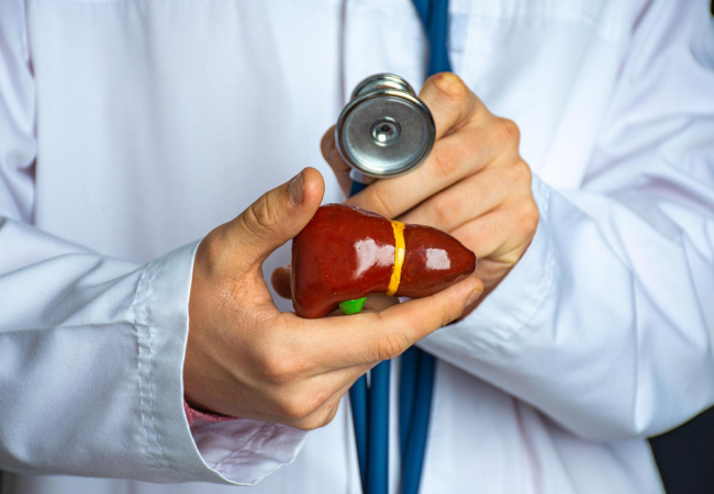 Doctor holding sample organ and performing test